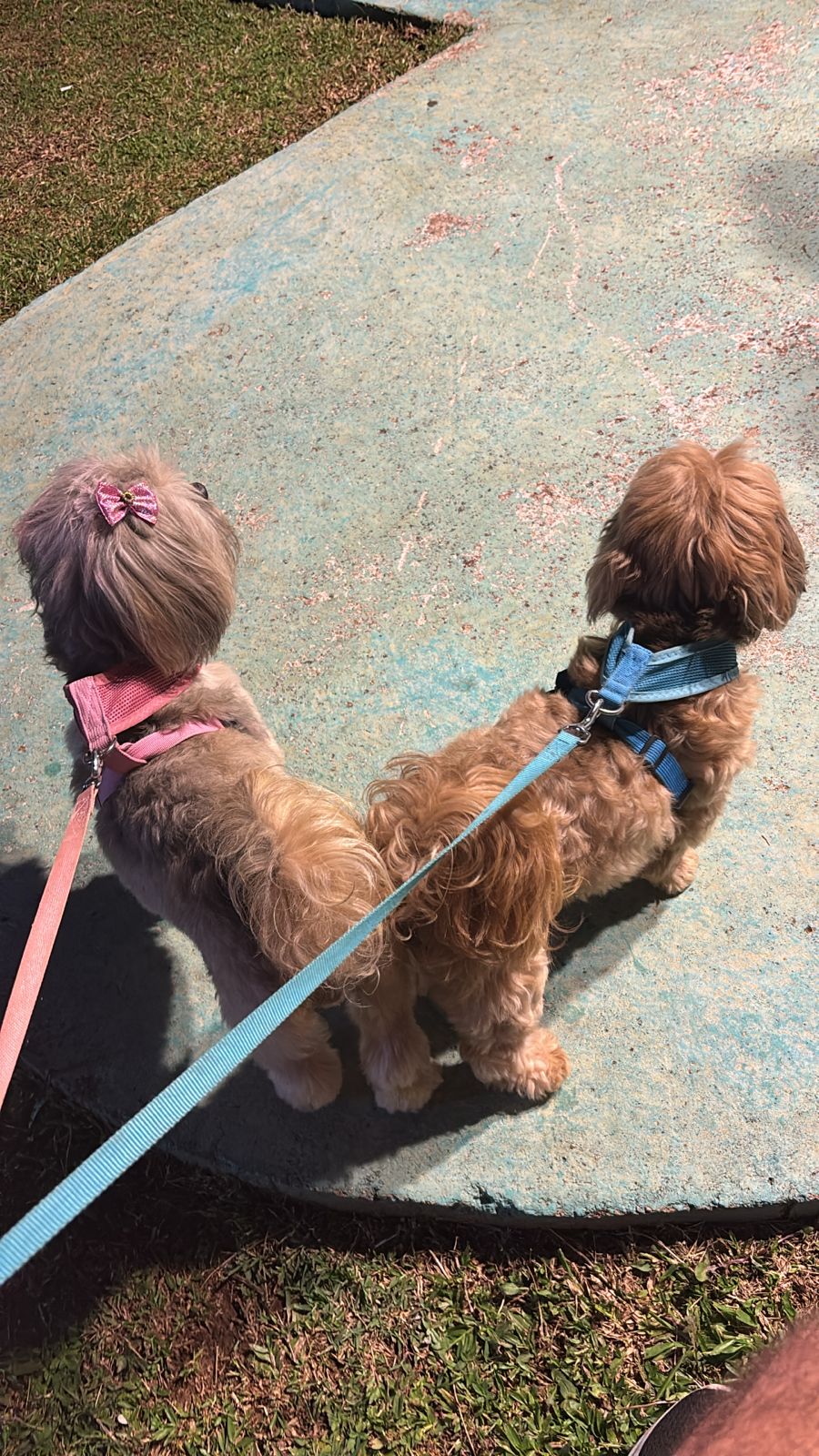 Foto de Felícia e Jack